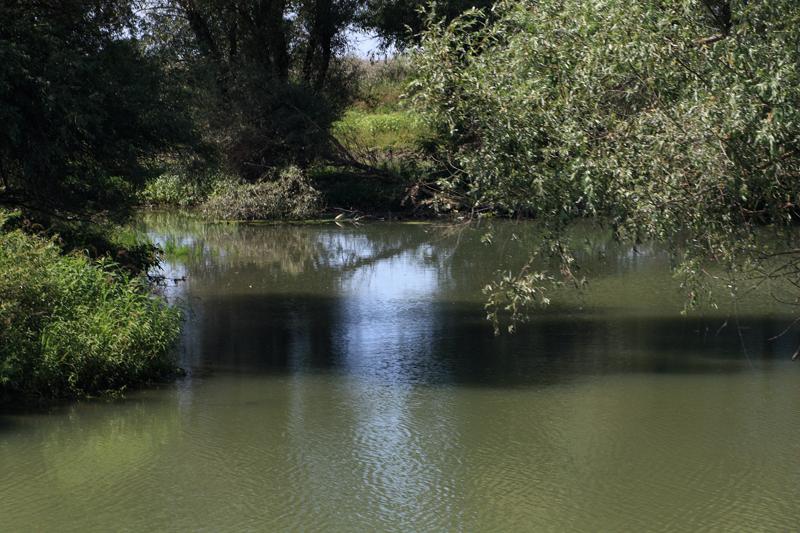 272-Delta del Danubio,7 agosto 2011.JPG
